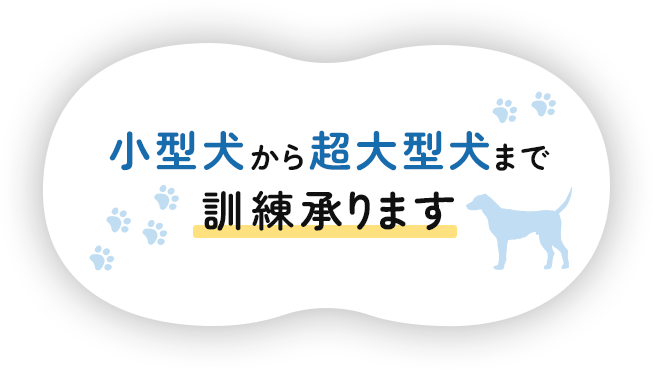 小型犬から超大型犬まで訓練承ります