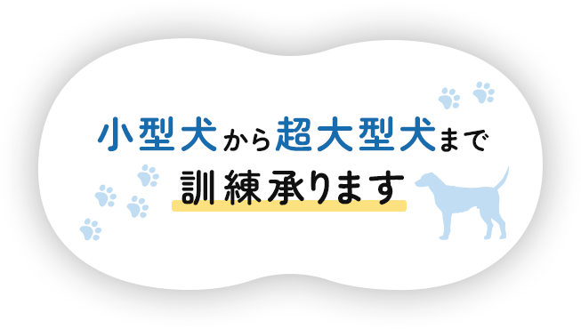 小型犬から超大型犬まで訓練承ります